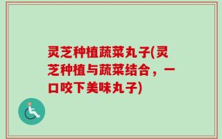 灵芝种植蔬菜丸子(灵芝种植与蔬菜结合，一口咬下美味丸子)