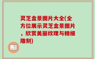 灵芝盒景图片大全(全方位展示灵芝盒景图片，欣赏美丽纹理与精细雕刻)