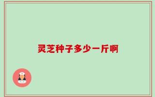灵芝种子多少一斤啊