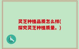灵芝种植品质怎么样(探究灵芝种植质量。)