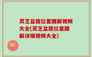 灵芝盆栽位置图解视频大全(灵芝盆栽位置图解详细视频大全)