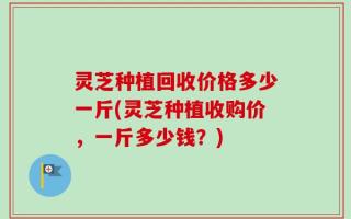 灵芝种植回收价格多少一斤(灵芝种植收购价，一斤多少钱？)