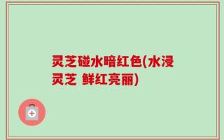 灵芝碰水暗红色(水浸灵芝 鲜红亮丽)