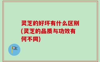 灵芝的好坏有什么区别(灵芝的品质与功效有何不同)