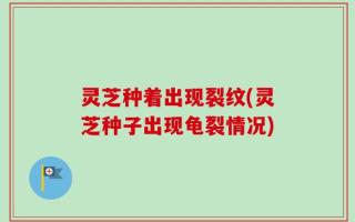 灵芝种着出现裂纹(灵芝种子出现龟裂情况)