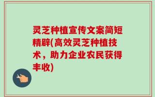 灵芝种植宣传文案简短精辟(高效灵芝种植技术，助力企业农民获得丰收)