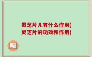 灵芝片儿有什么作用(灵芝片的功效和作用)