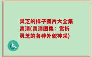 灵芝的样子图片大全集高清(高清图集：赏析灵芝的各种外貌神采)