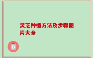 灵芝种植方法及步骤图片大全
