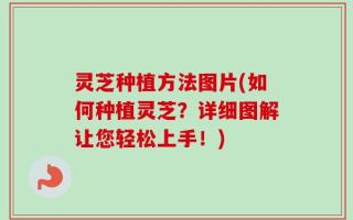灵芝种植方法图片(如何种植灵芝？详细图解让您轻松上手！)
