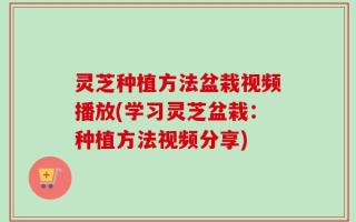 灵芝种植方法盆栽视频播放(学习灵芝盆栽：种植方法视频分享)