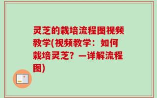 灵芝的栽培流程图视频教学(视频教学：如何栽培灵芝？—详解流程图)