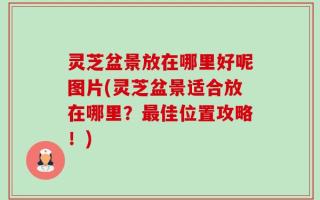 灵芝盆景放在哪里好呢图片(灵芝盆景适合放在哪里？最佳位置攻略！)