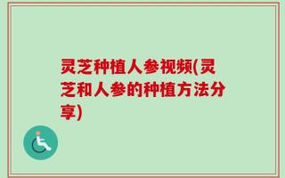 灵芝种植人参视频(灵芝和人参的种植方法分享)