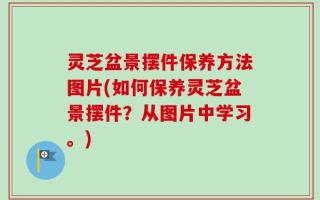 灵芝盆景摆件保养方法图片(如何保养灵芝盆景摆件？从图片中学习。)