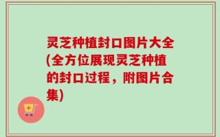 灵芝种植封口图片大全(全方位展现灵芝种植的封口过程，附图片合集)