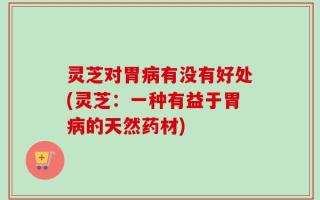 灵芝对胃病有没有好处(灵芝：一种有益于胃病的天然药材)