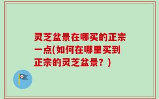 灵芝盆景在哪买的正宗一点(如何在哪里买到正宗的灵芝盆景？)