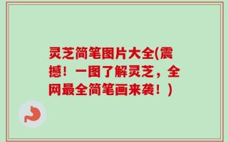 灵芝简笔图片大全(震撼！一图了解灵芝，全网最全简笔画来袭！)