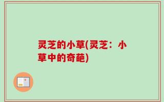 灵芝的小草(灵芝：小草中的奇葩)