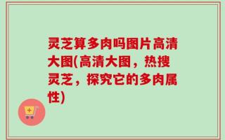 灵芝算多肉吗图片高清大图(高清大图，热搜灵芝，探究它的多肉属性)