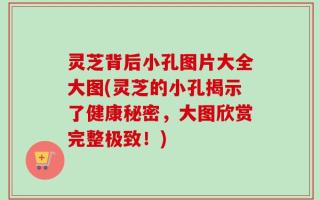 灵芝背后小孔图片大全大图(灵芝的小孔揭示了健康秘密，大图欣赏完整极致！)