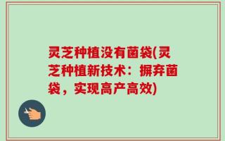 灵芝种植没有菌袋(灵芝种植新技术：摒弃菌袋，实现高产高效)