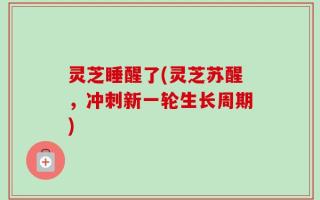 灵芝睡醒了(灵芝苏醒，冲刺新一轮生长周期)