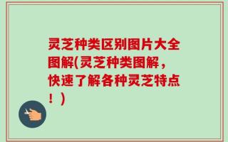灵芝种类区别图片大全图解(灵芝种类图解，快速了解各种灵芝特点！)