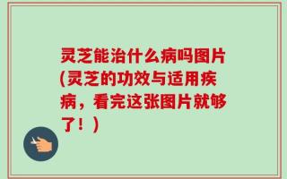 灵芝能治什么病吗图片(灵芝的功效与适用疾病，看完这张图片就够了！)