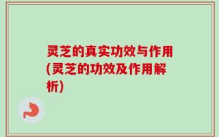 灵芝的真实功效与作用(灵芝的功效及作用解析)