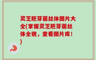 灵芝胚芽菌丝体图片大全(掌握灵芝胚芽菌丝体全貌，查看图片库！)