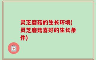 灵芝磨菇的生长环境(灵芝磨菇喜好的生长条件)