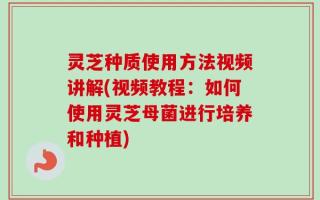 灵芝种质使用方法视频讲解(视频教程：如何使用灵芝母菌进行培养和种植)