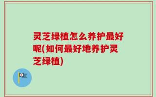 灵芝绿植怎么养护最好呢(如何最好地养护灵芝绿植)