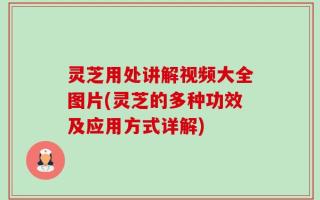 灵芝用处讲解视频大全图片(灵芝的多种功效及应用方式详解)