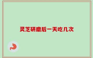 灵芝研磨后一天吃几次