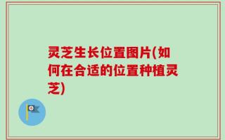 灵芝生长位置图片(如何在合适的位置种植灵芝)