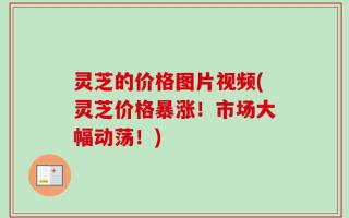 灵芝的价格图片视频(灵芝价格暴涨！市场大幅动荡！)