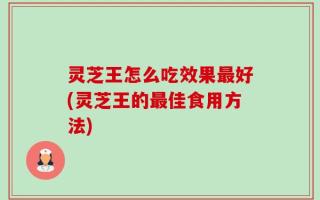 灵芝王怎么吃效果最好(灵芝王的最佳食用方法)