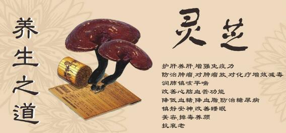 女人长期吃灵芝孢子粉帮您延缓衰老-第2张图片-卓越灵芝孢子粉 女人长期吃灵芝孢子粉帮您延缓衰老-第2张图片-卓越灵芝孢子粉