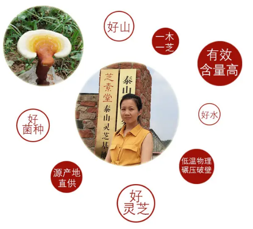 女人长期吃灵芝孢子粉帮您延缓衰老-第3张图片-卓越灵芝孢子粉 女人长期吃灵芝孢子粉帮您延缓衰老-第3张图片-卓越灵芝孢子粉