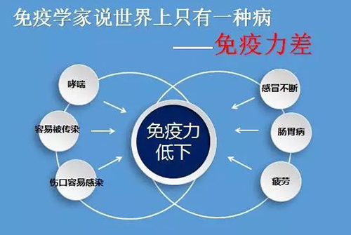 灵芝孢子粉的功效与作用对经常性感冒有效果吗？-第1张图片-卓越灵芝孢子粉