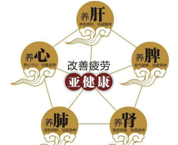 灵芝孢子粉能治什么病？上班族可以吃灵芝孢子粉吗？-第2张图片-卓越灵芝孢子粉