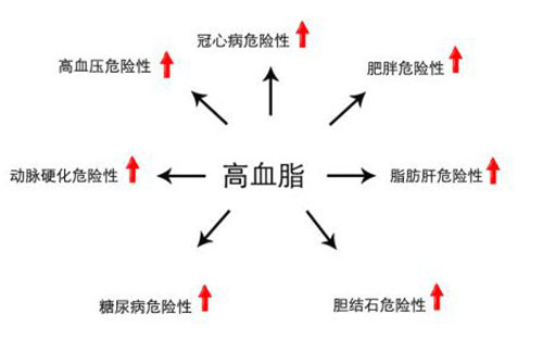 芝素堂灵芝破壁孢子粉的功效与作用之 辅助治疗高血压-第1张图片-卓岳灵芝孢子粉