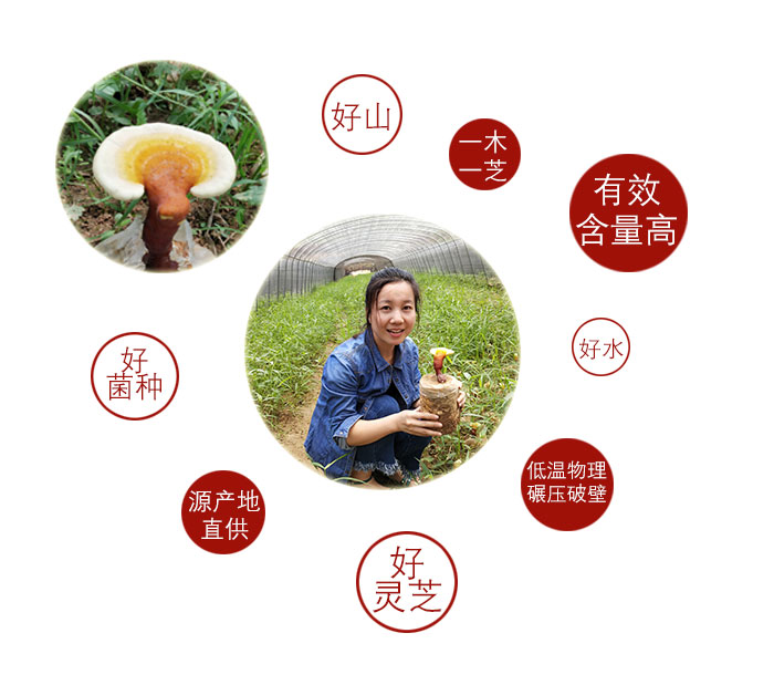 长白山灵芝孢子粉跟泰山灵芝孢子粉，哪个更好？