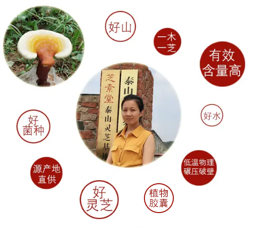 中年人为什么一定要吃灵芝破壁孢子粉?-第4张图片-卓越灵芝孢子粉