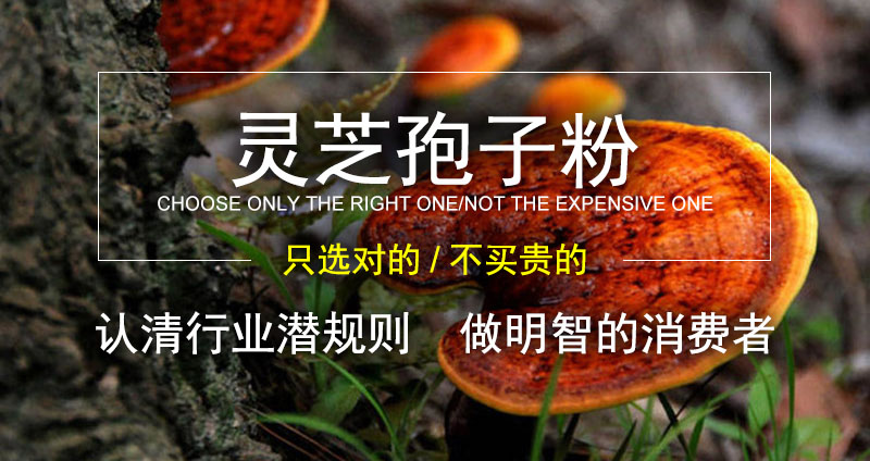 破壁灵芝孢子粉的价格在什么区间的合适?-第1张图片-卓越灵芝孢子粉