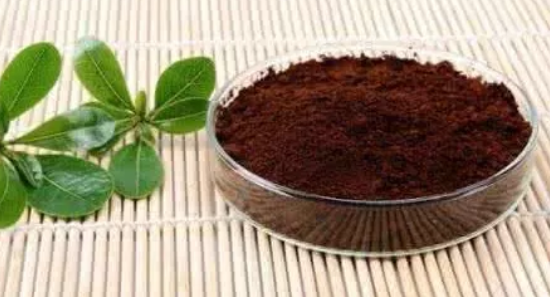灵芝孢子粉的禁忌你知道多少？-第2张图片-卓越灵芝孢子粉