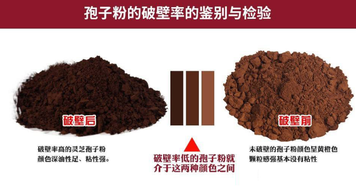 灵芝孢子粉没有油还能喝吗?如何辨别?-第1张图片-卓越灵芝孢子粉 灵芝孢子粉没有油还能喝吗?如何辨别?-第1张图片-卓越灵芝孢子粉